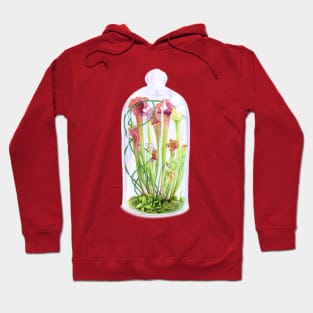 Tiny World Terrarium Hoodie